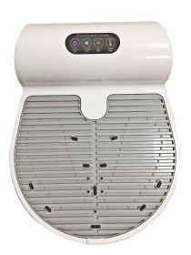 Hair Dryer Negative Ion Home Bathroom Body Dryer (Option: No Weighing Scale-Japanese Version)